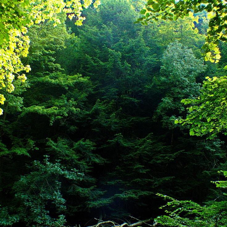 Protected areas overview